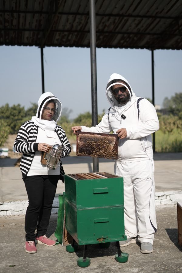 Harvesting at our apiaries